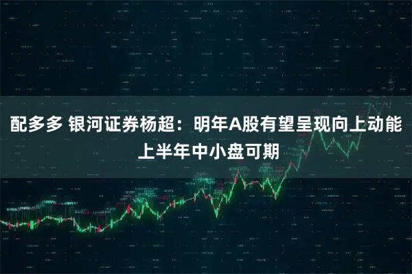配多多 银河证券杨超：明年A股有望呈现向上动能 上半年中小盘可期