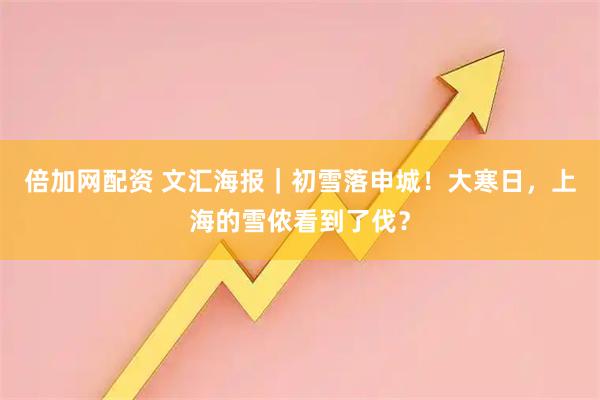 倍加网配资 文汇海报｜初雪落申城！大寒日，上海的雪侬看到了伐？