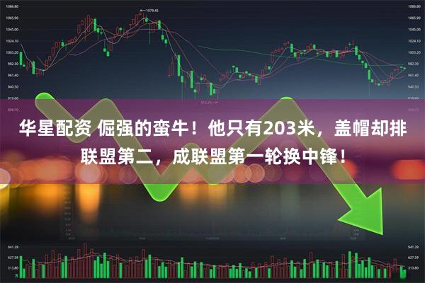 华星配资 倔强的蛮牛！他只有203米，盖帽却排联盟第二，成联盟第一轮换中锋！