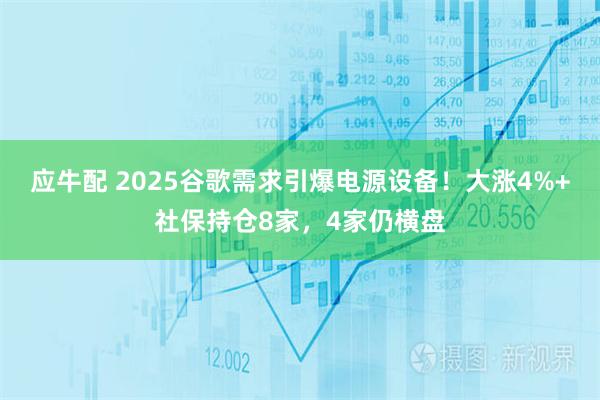 应牛配 2025谷歌需求引爆电源设备！大涨4%+社保持仓8家，4家仍横盘